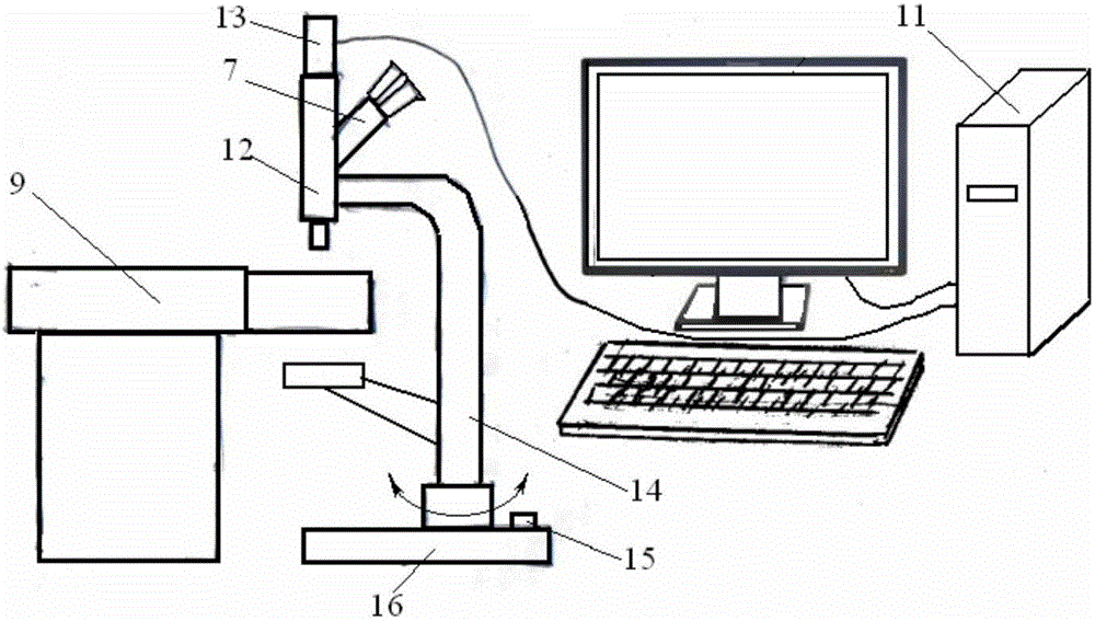 Animal mesentery microcirculation observation system