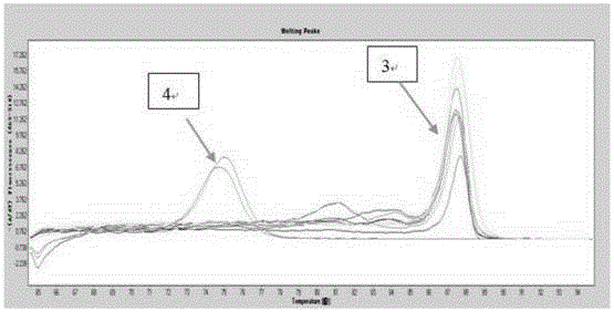 A gene mutation analysis and judgment method based on real-time fluorescent quantitative PCR platform