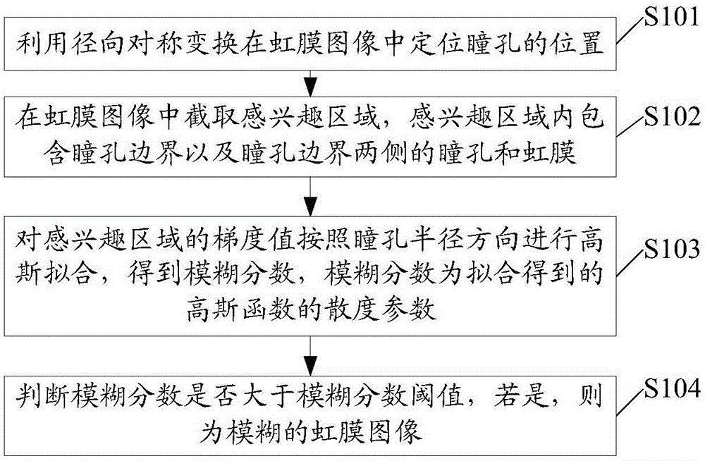 Iris image blurring determination method and device