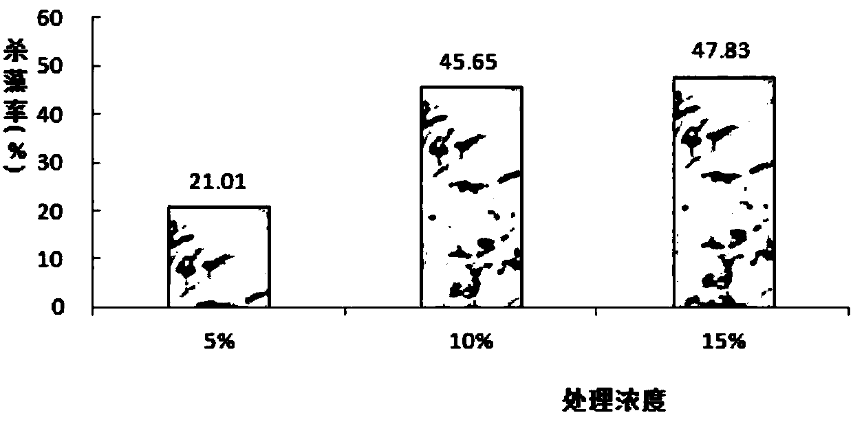 Bacillus subtilis and application thereof to aquaculture