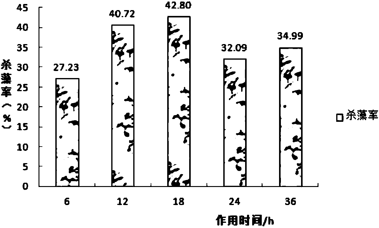 Bacillus subtilis and application thereof to aquaculture