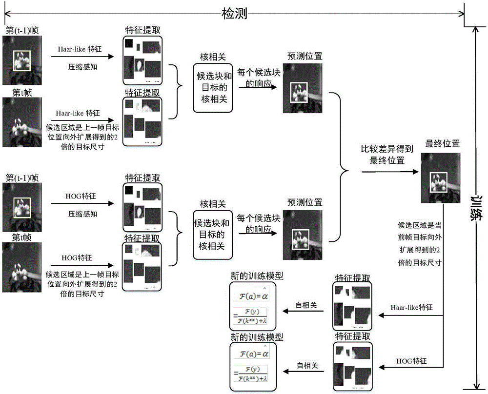 Quick real-time discrimination type tracing method based on multi-local-feature learning