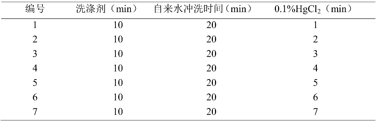 A kind of tissue culture method of vesicular grass