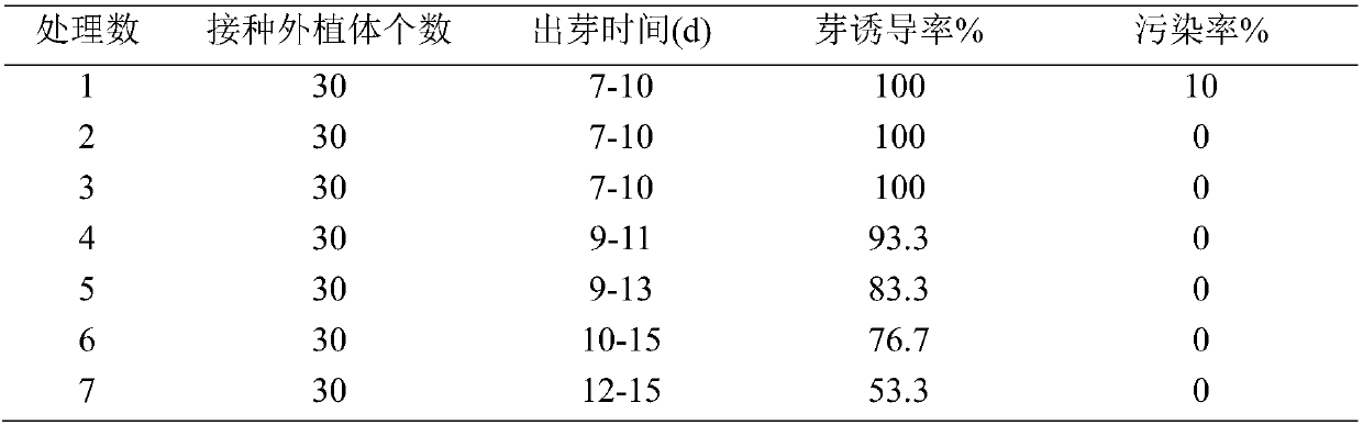 A kind of tissue culture method of vesicular grass