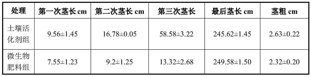 Soil nutrient activator suitable for saline-alkali land improvement and preparation method thereof