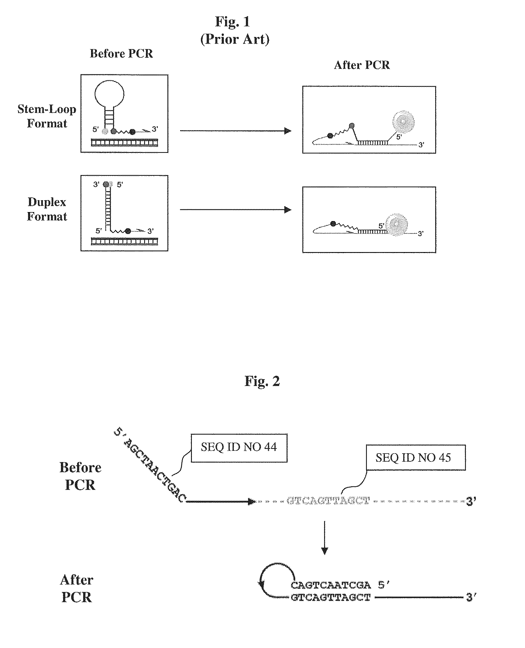 Primers for melting analysis