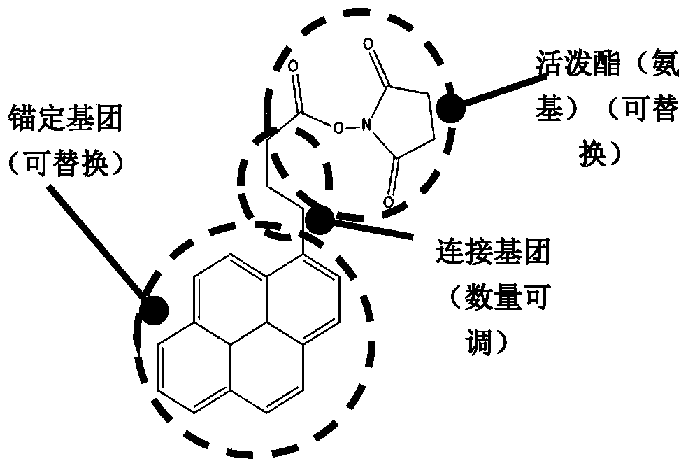 Biosensor, preparation method and virus detection system and method