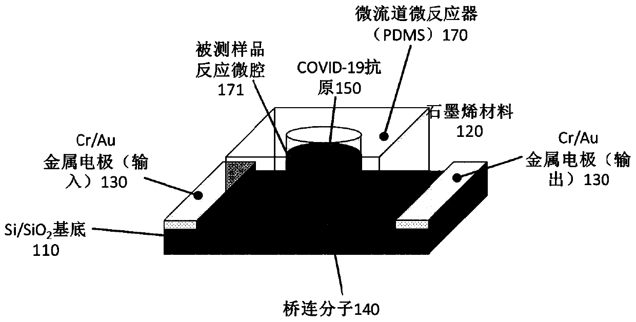 Biosensor, preparation method and virus detection system and method