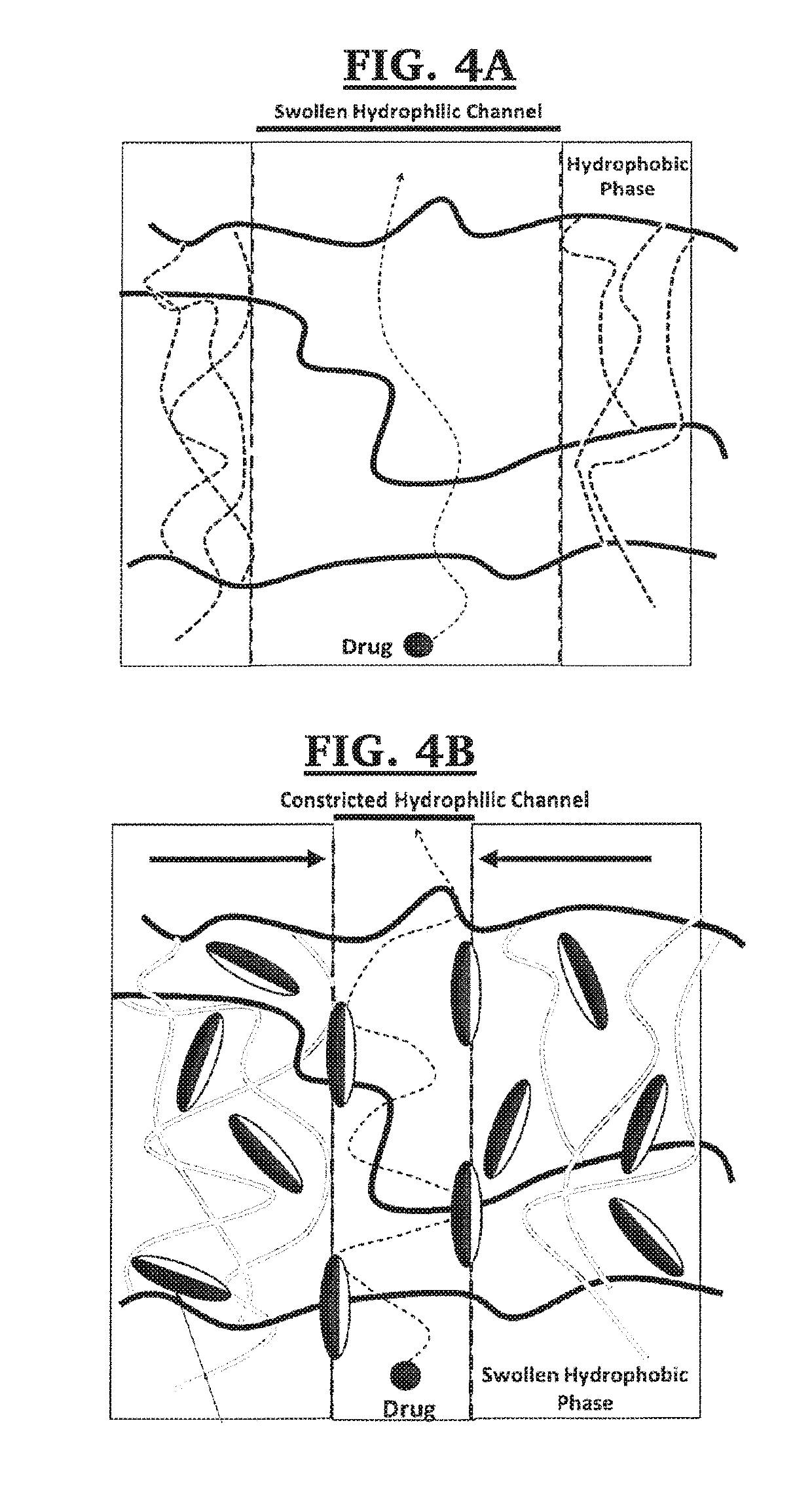 Apparatus and method for zero order drug delivery from multilayer amphiphilic co-networks