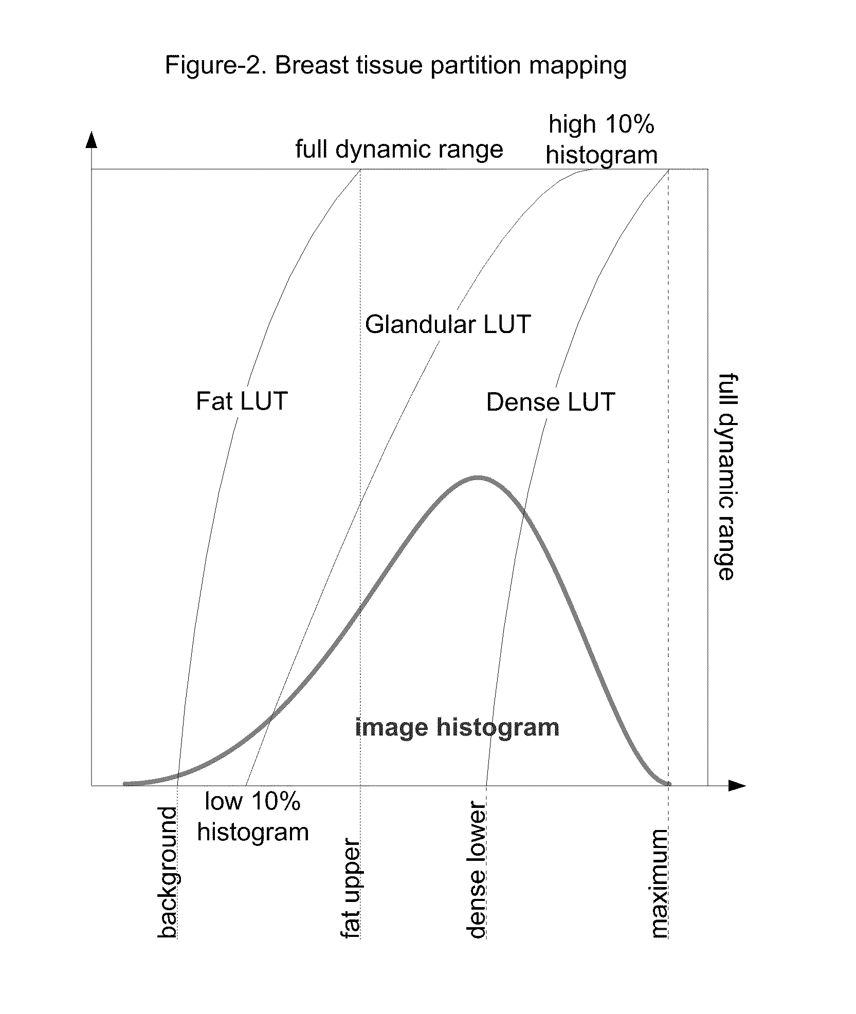 Microcalcification enhancement from digital mammograms