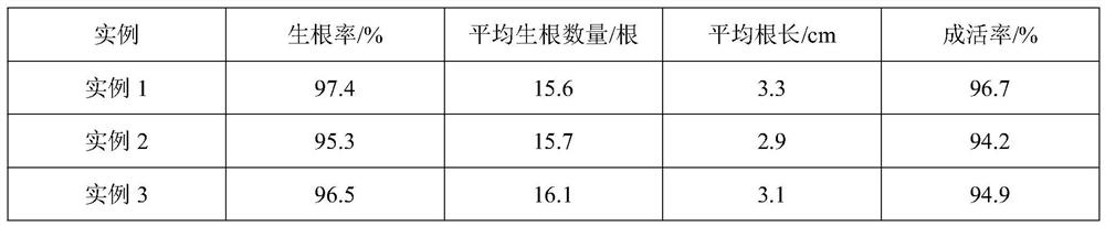 Mixing device for preparing atriplex canescens cultivation substrate and cultivation substrate