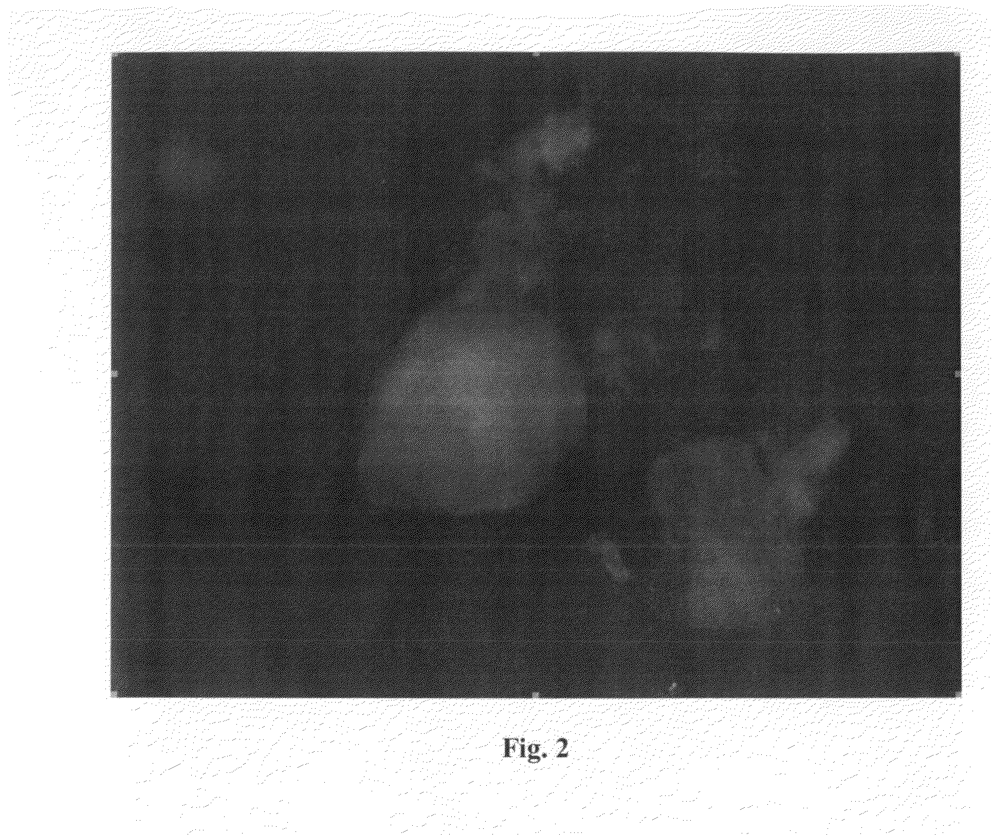 Modified peptides with antiviral properties and methods for obtaining them