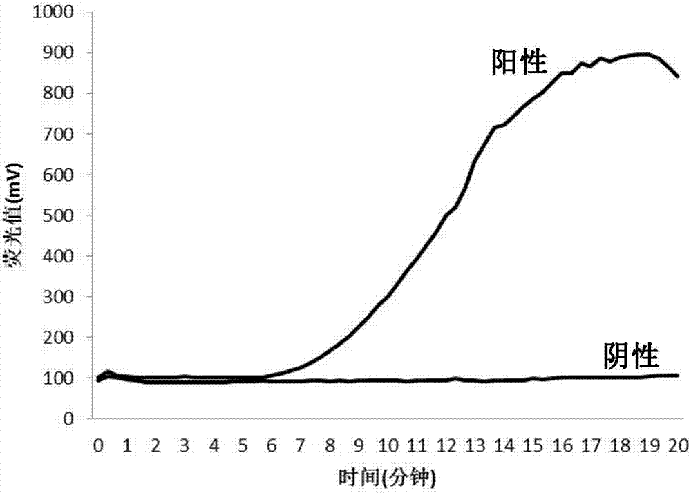 Amplification system and method for detecting RNA of Japanese encephalitis virus