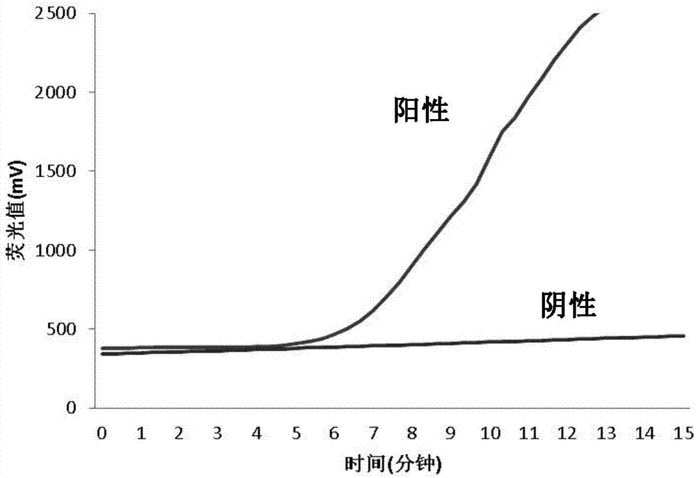 Amplification system and method for detecting RNA of Japanese encephalitis virus