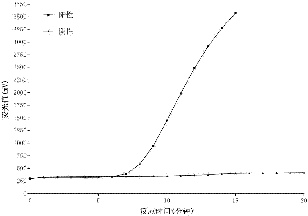 Amplification system and method for detecting RNA of Japanese encephalitis virus