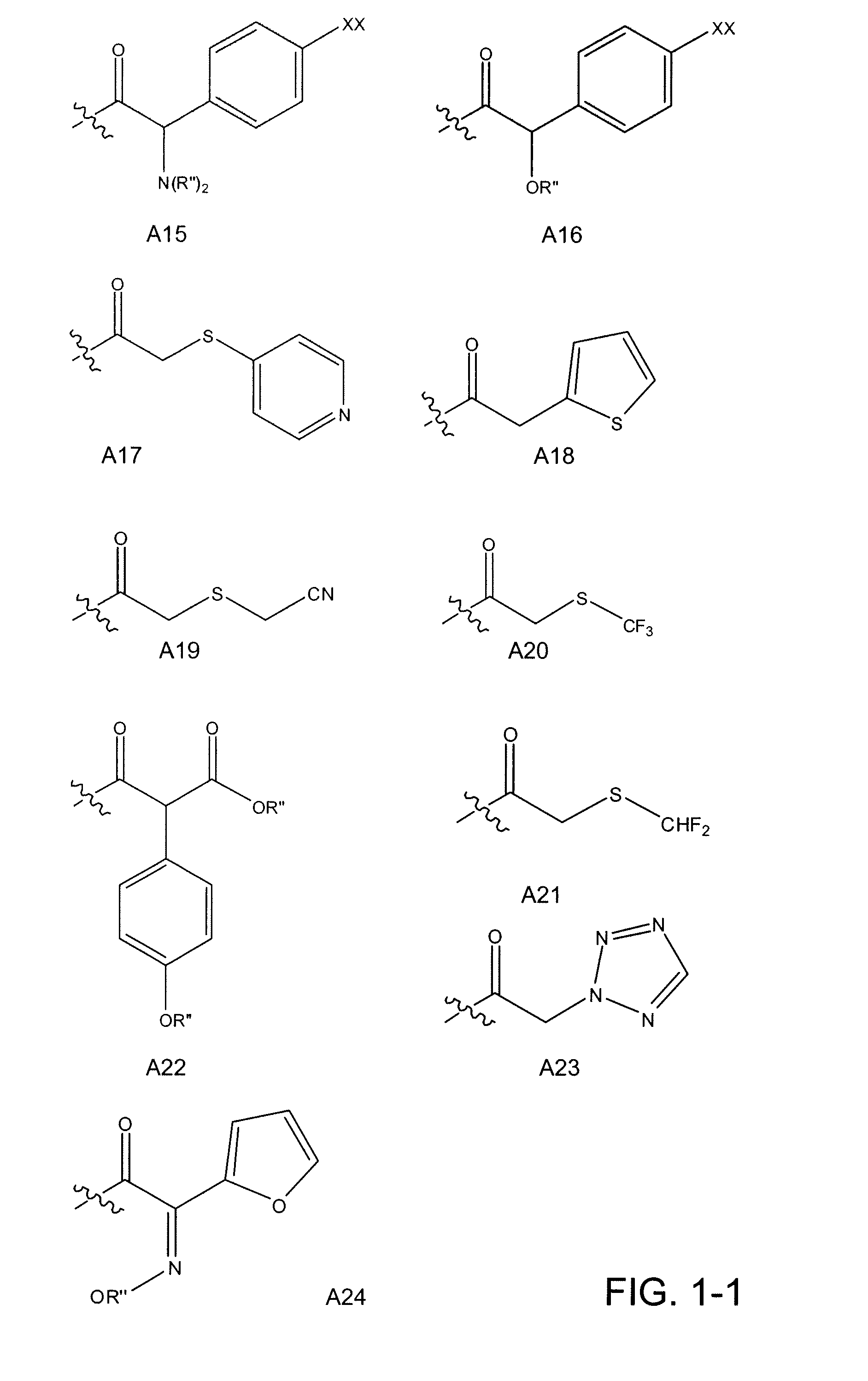 Beta-lactamase inhibitors