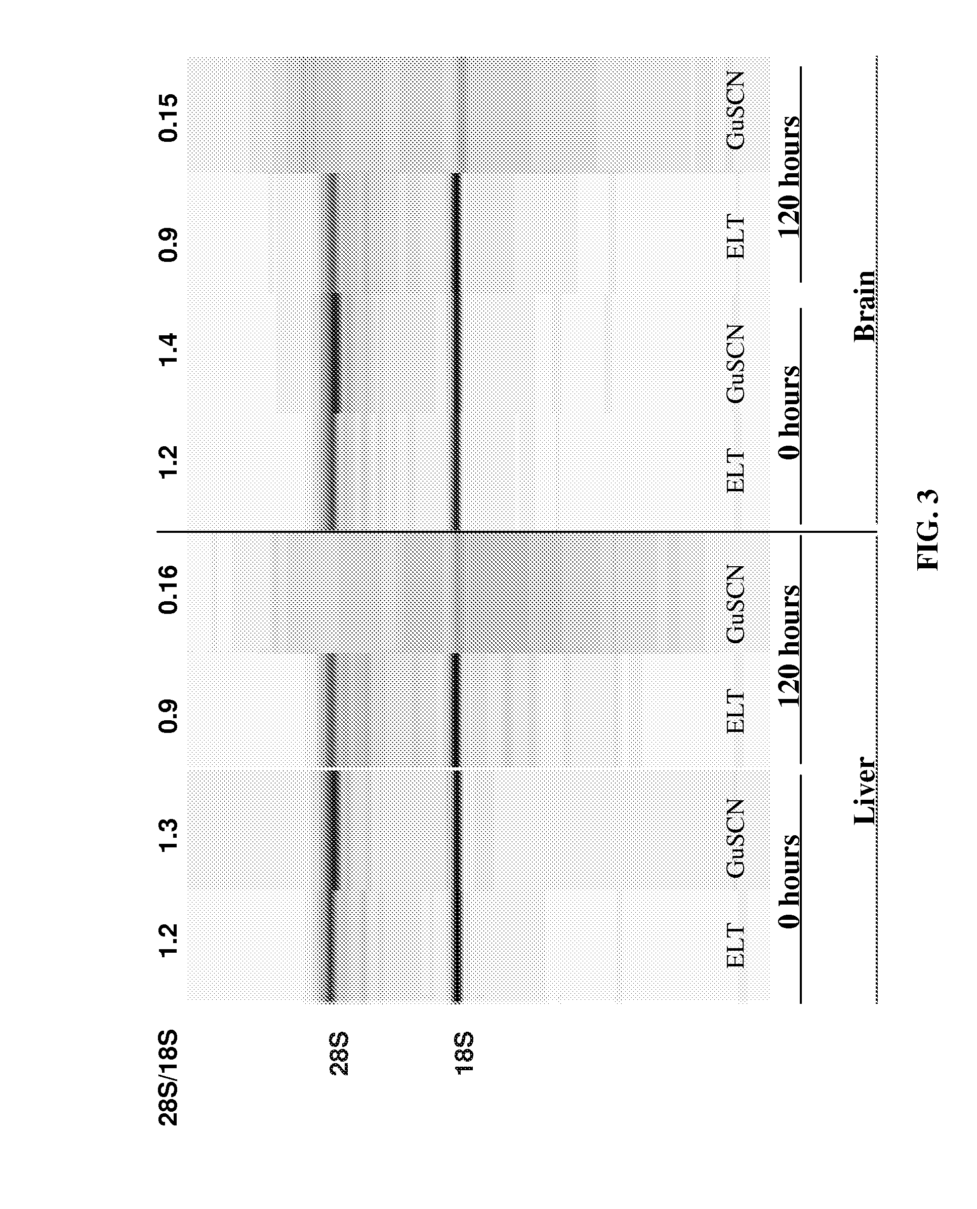 Enzymatic digestion of tissue