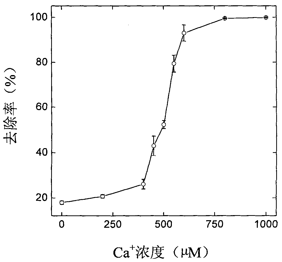 Method for purifying carbon nanotube polluted water body