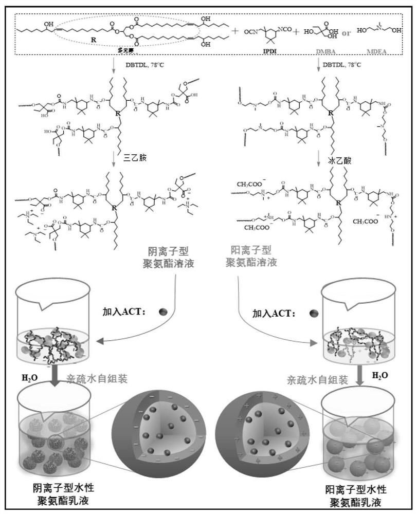 Waterborne polyurethane drug-loaded slow-release spray with opposite charges as well as preparation method and application thereof