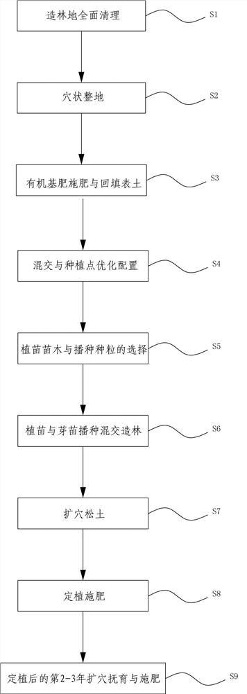 Method for constructing castanopsis fargesii broadleaf mixed forest for coniferous forest low-yield transformation