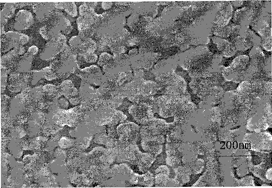 Method for preparing two-sided polyimide / silver compound film