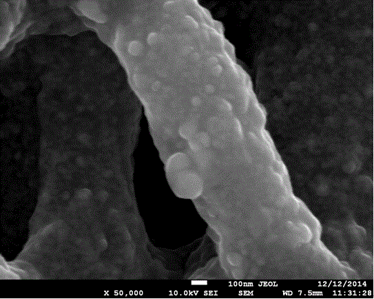 Dye-sensitized solar cell counter electrode material prepared by using eggshell membrane and method