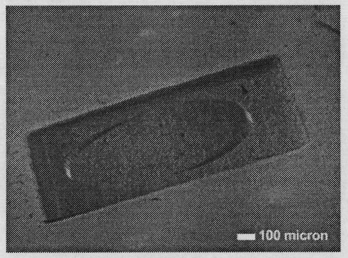 Photoelectrochemical three-dimensional processing method and device of laser bubble cavitation