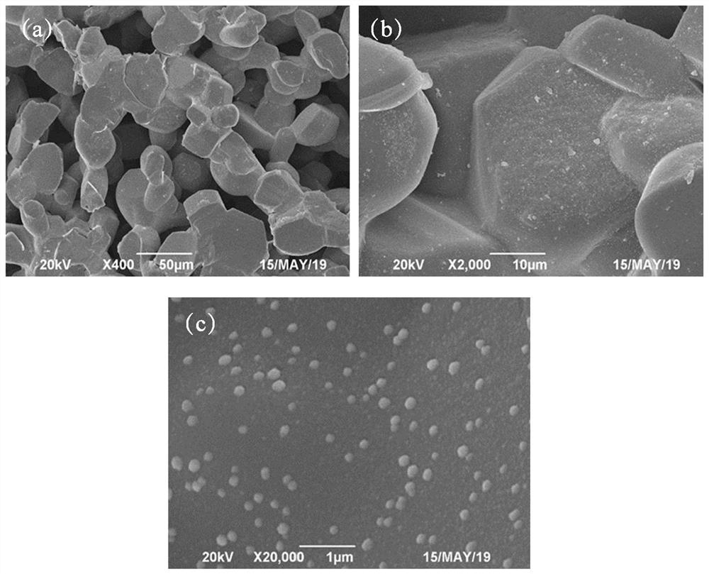 A kind of porous ceramic and its preparation method and application