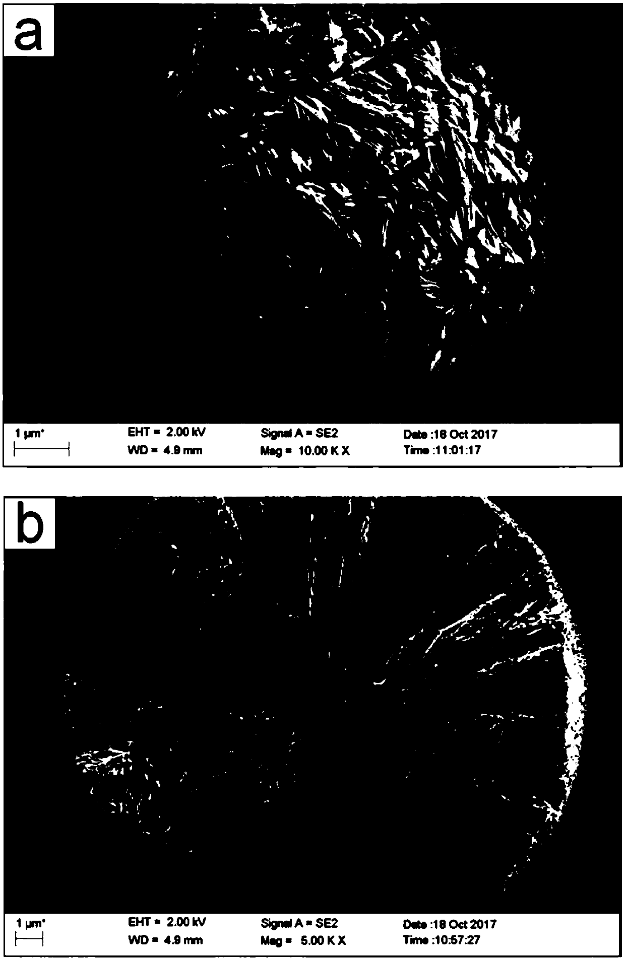 Precursor of lithium ion battery cathode material, preparation method thereof, cathode active material, lithium ion battery, and continuous reactor