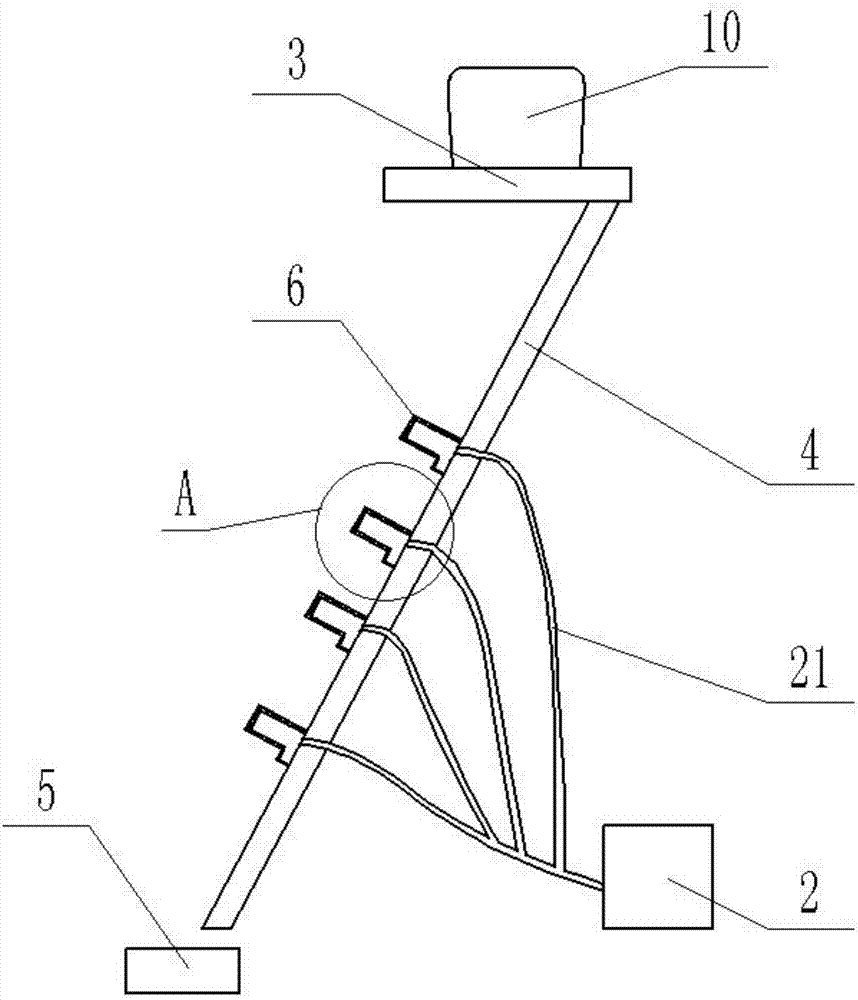 Pumpkin seed threshing machine