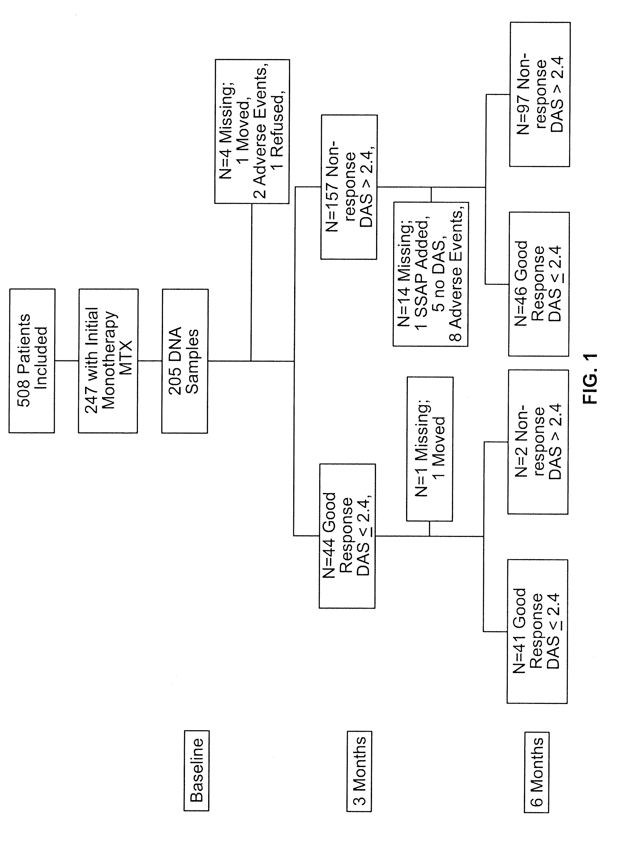 Genetic markers for prognosis of antifolate treatment efficacy