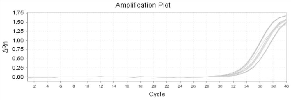 Q-PCR detection method for colorectal cancer marker DCD