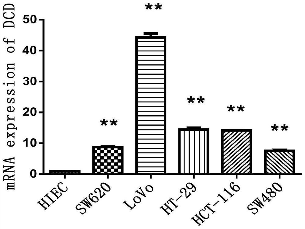 Q-PCR detection method for colorectal cancer marker DCD