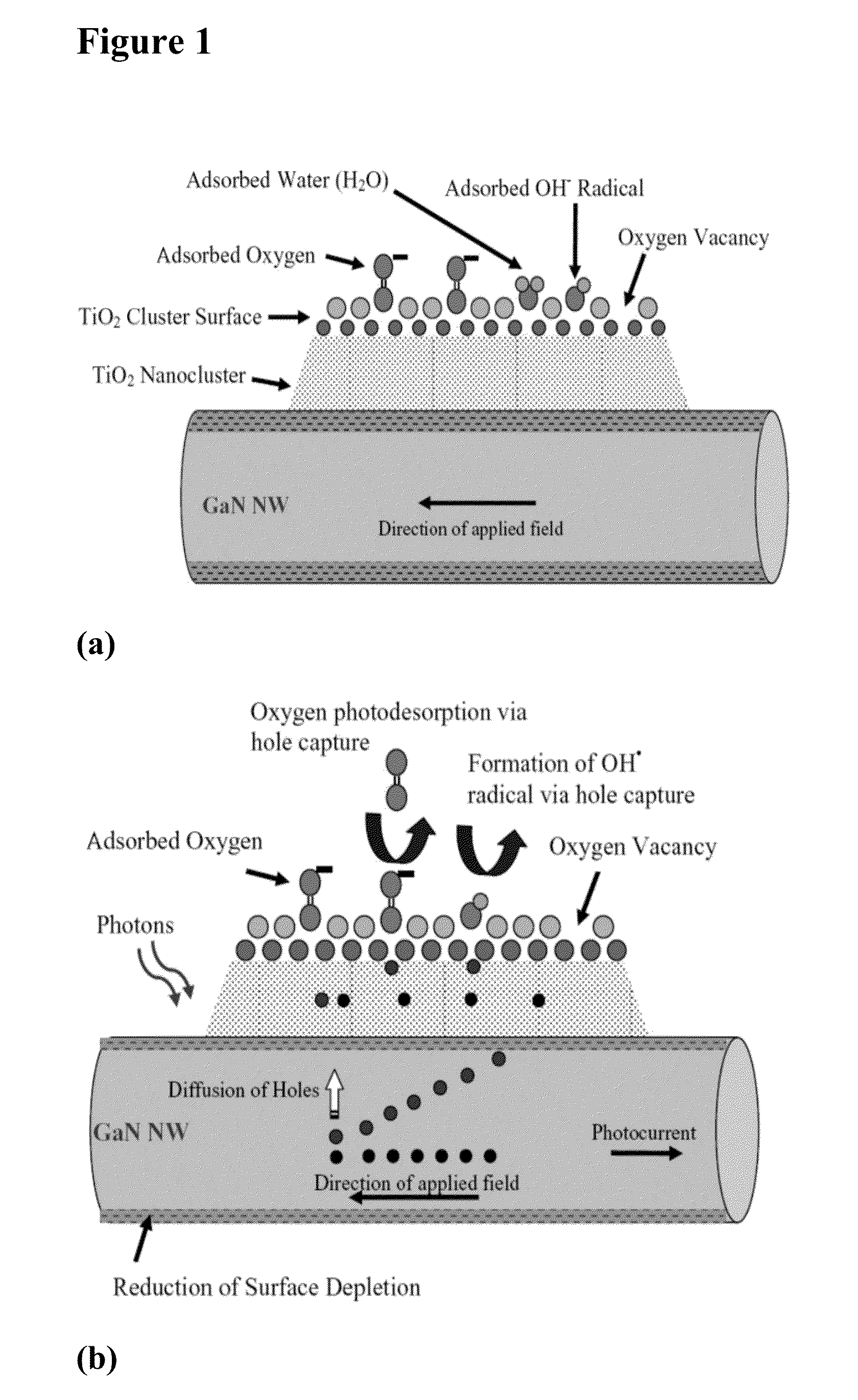 Highly Selective Nanostructure Sensors and Methods of Detecting Target Analytes