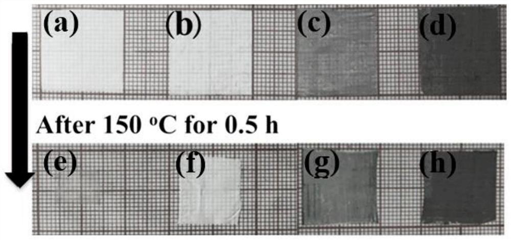 Functionalized polyolefin composite diaphragm and preparation method and application thereof