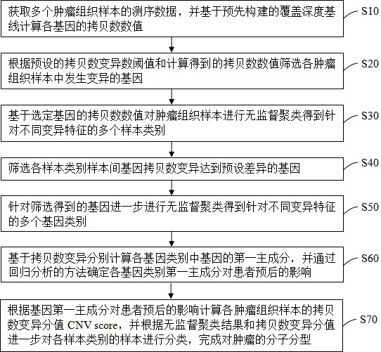 Tumor molecular typing method and device, terminal equipment and readable storage medium