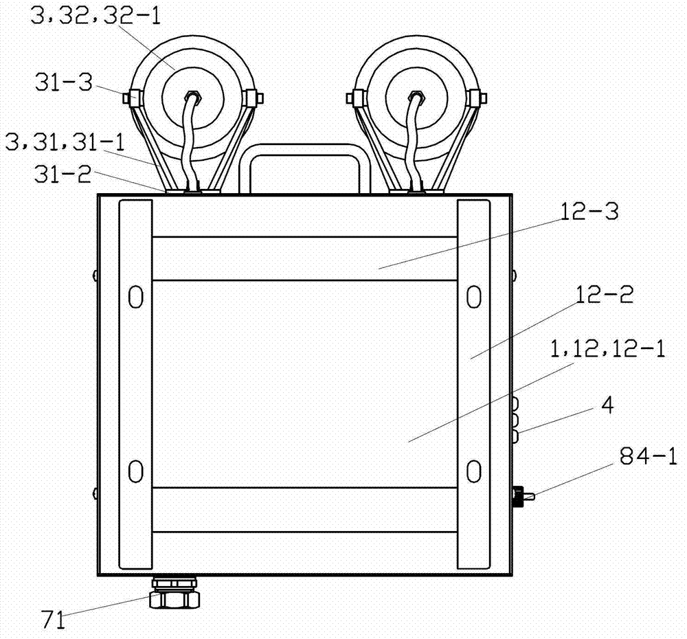 Intelligent emergency lamp for nuclear environment