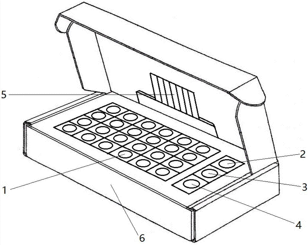 Fluorescent quantitative PCR (Polymerase Chain Reaction) detection kit for mutation A1555G of mitochondrial deafness and application of fluorescent quantitative PCR detection kit