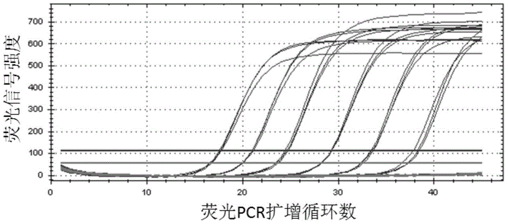 Kit for rapid detection and genotyping of mycoplasma pneumoniae