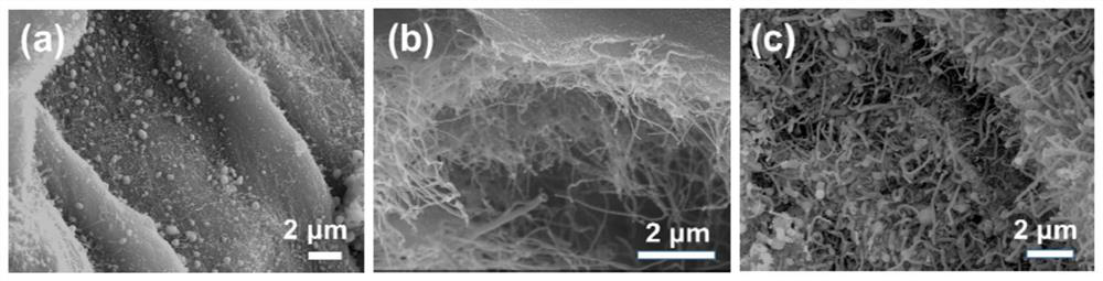 Preparation method and application of a nitrogen-doped carbon nanotube-coated iron nanoparticle Fenton-like catalyst supported by loofah relics