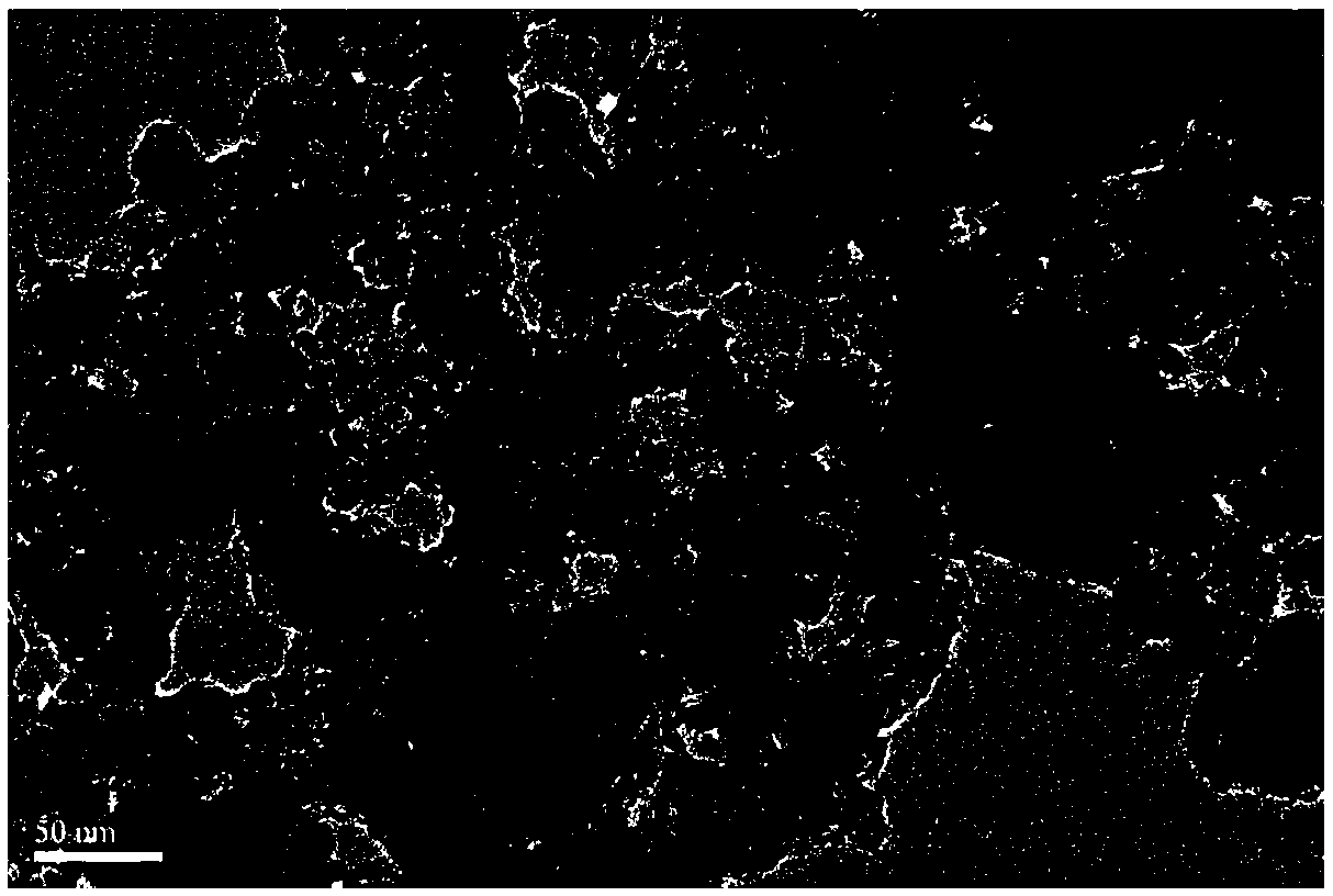 Pd/C catalyst and preparation method thereof