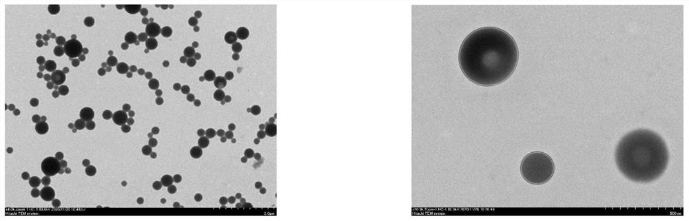 Preparation method of double-loading pesticide nano microcapsule suspending agent