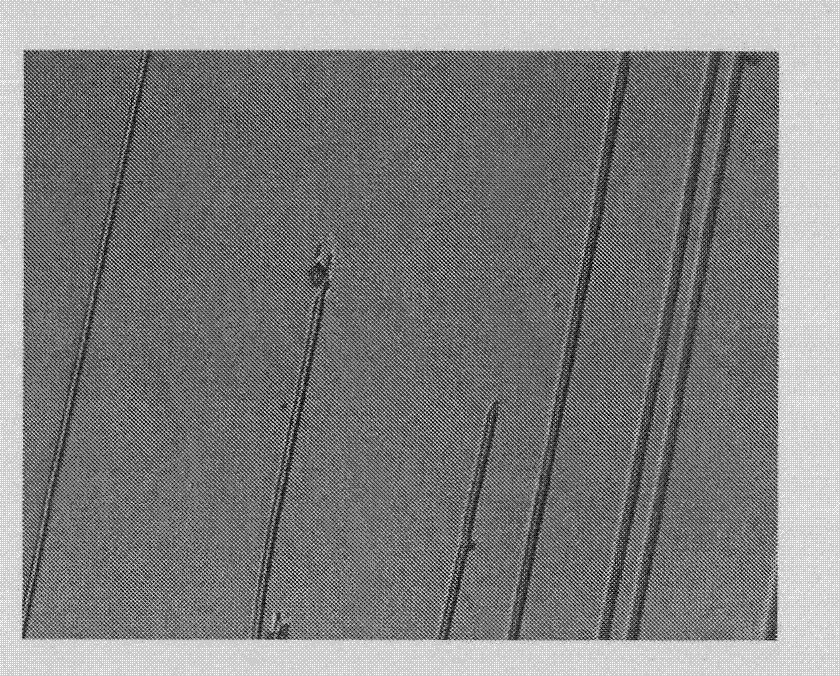 Double-PZT symmetrical integrated large-strain loading device