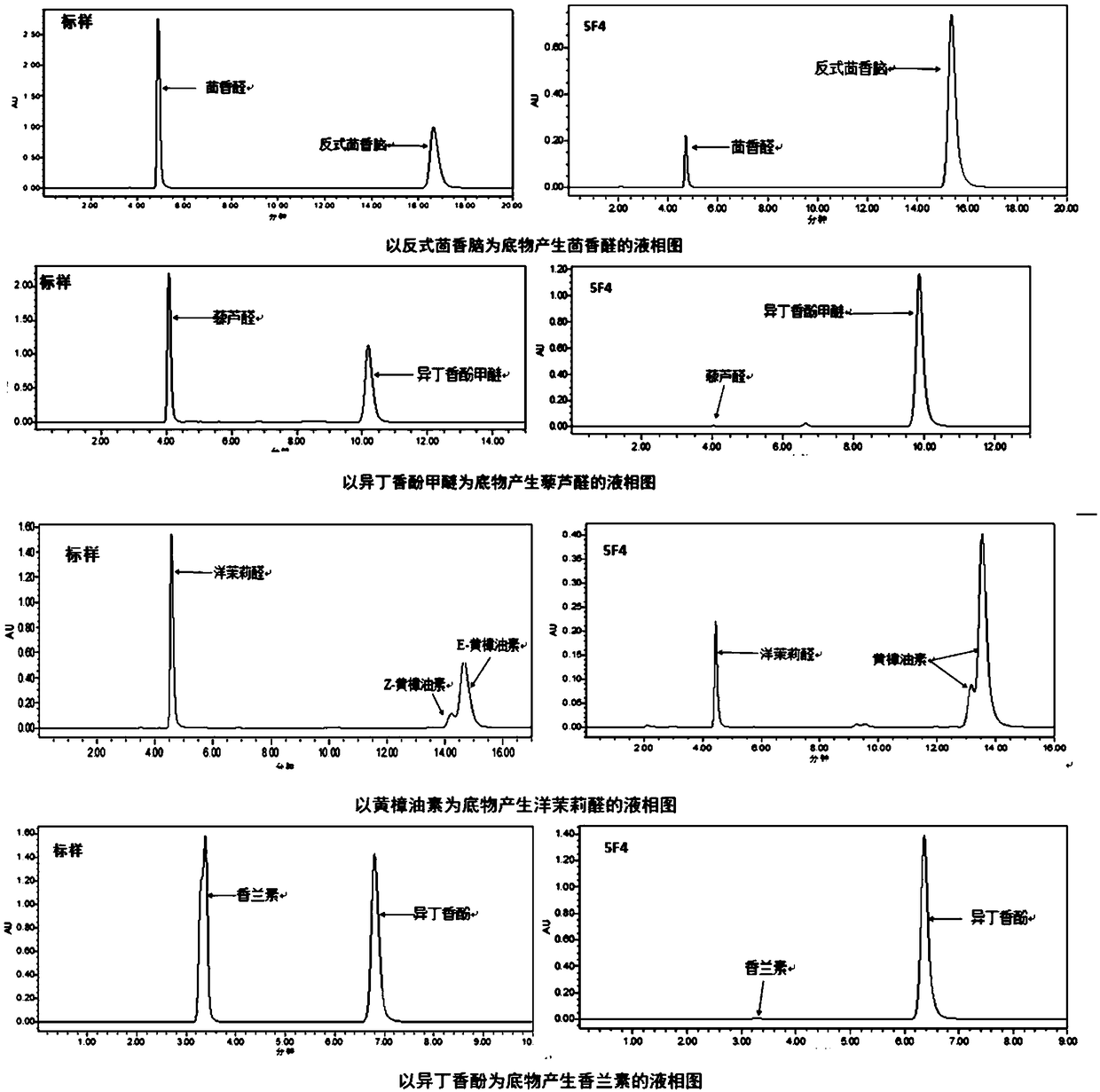 Mutant and mutant strain of trans-anethole oxygenase