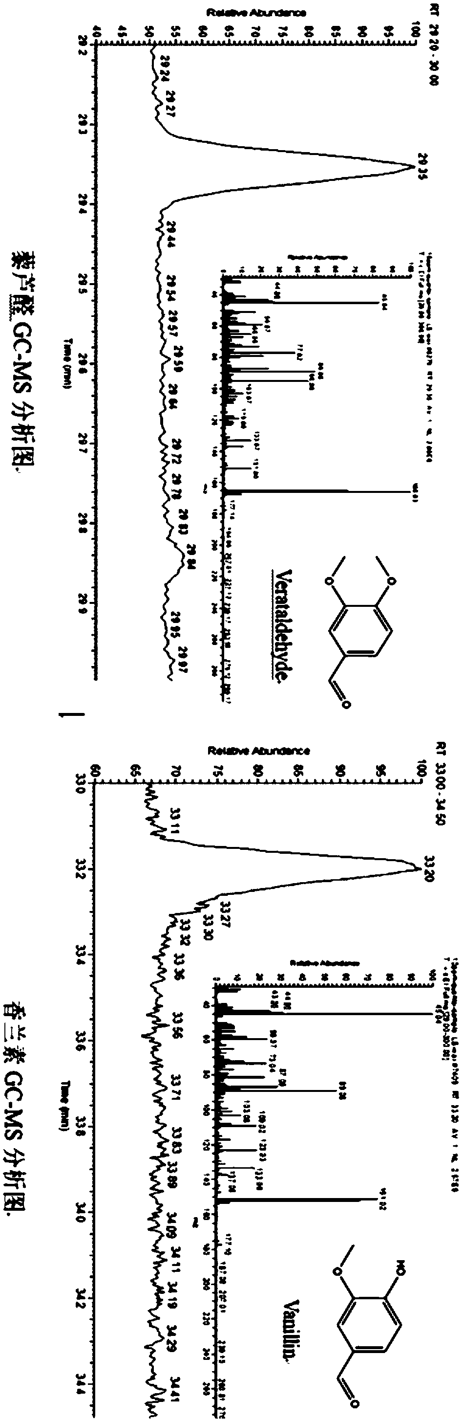 Mutant and mutant strain of trans-anethole oxygenase