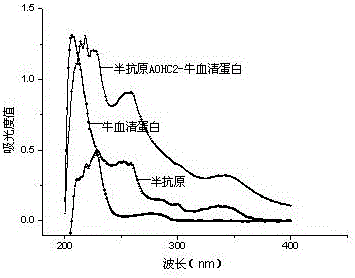 Hapten, artificial antigen and antibody directly targeted to alternariol and preparation method and application thereof