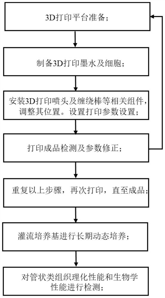 Tubular tissue structure body and constructing method thereof