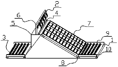 Coconut cutting machine