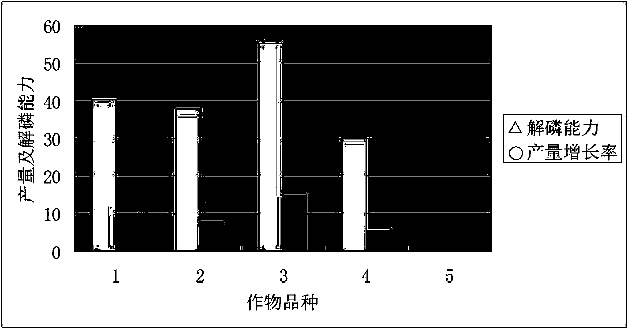 Pseudomonas and screening method and application thereof