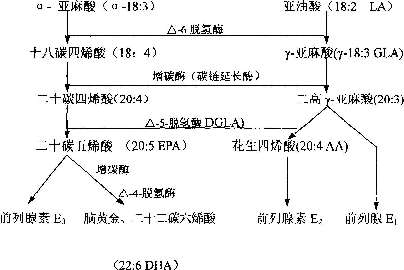 Purple common perilla seed feedstuff additive and preparation method thereof